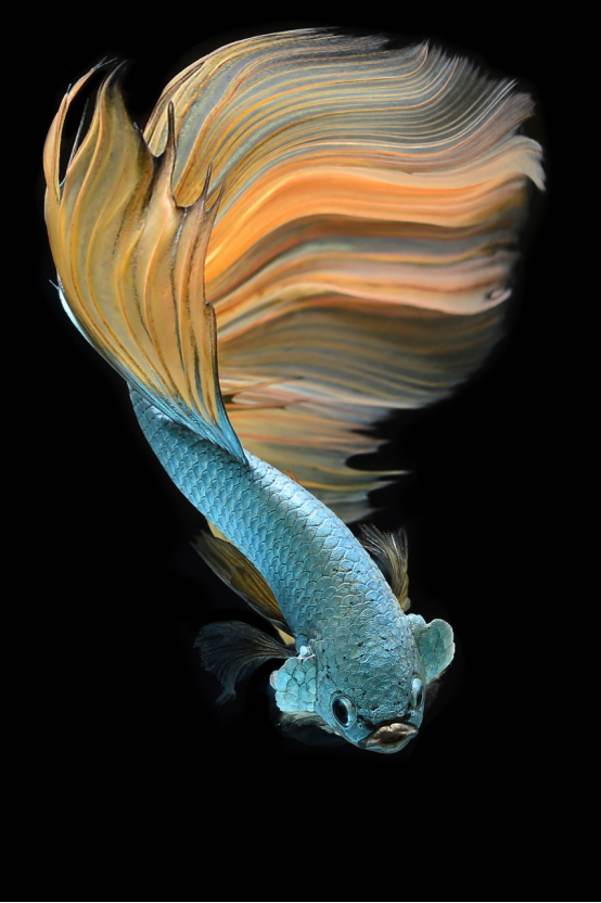 image.png image.png